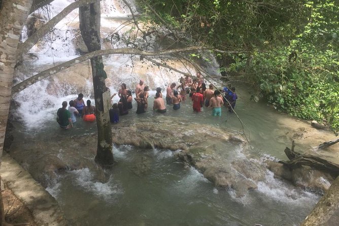 Combo Tour Dunns River Falls and Bluetour From Falmouth - Enjoying the Jerk Lunch Experience