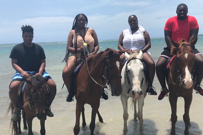 Combo Tour: Dunns River Falls And Horse Back Riding - Traveler Reviews and Ratings