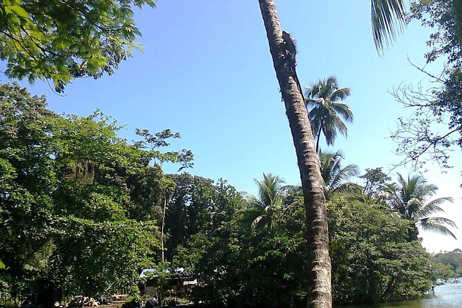 Combo Tour From Puerto Limon - Inclusions and Transportation