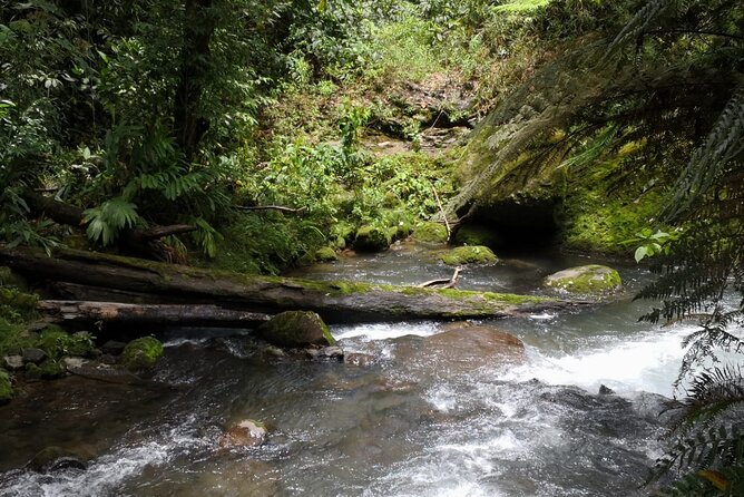 Combo Tour Poas Volcano and La Paz Waterfall and Coffee Tour - Discovering La Paz Waterfall