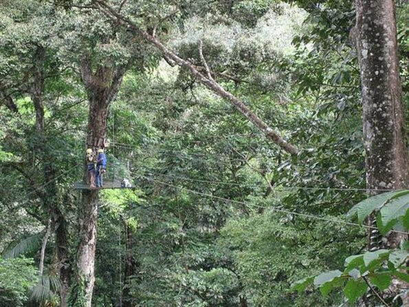 Combo Tour Poas Volcano and La Paz Waterfall and Coffee Tour - Tour Overview