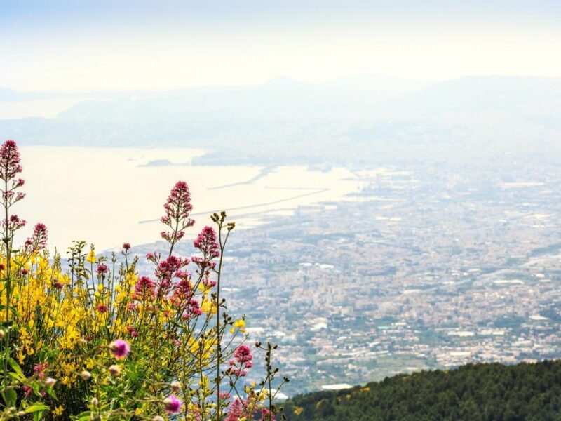 Combo Tour_Pompeii & Vesuvius - Booking and Payment