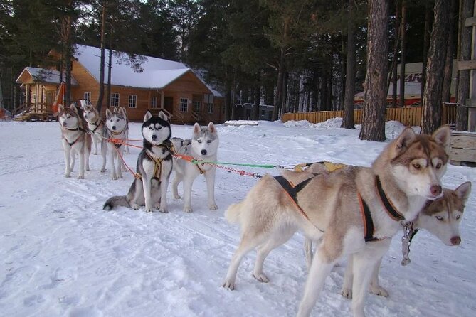 Combo TourHusky and Reindeer Sledding Ride in Levi - Meeting Details