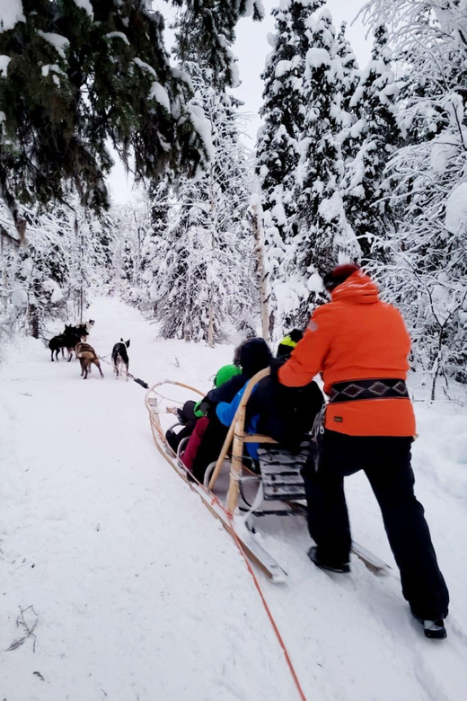 Combo TourHusky and Reindeer Sledding Ride in Levi - Good To Know