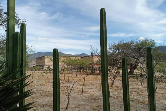 Combo Two-Day Tours, Hierve El Agua Full Day and Monte Alban Full Day - Additional Information