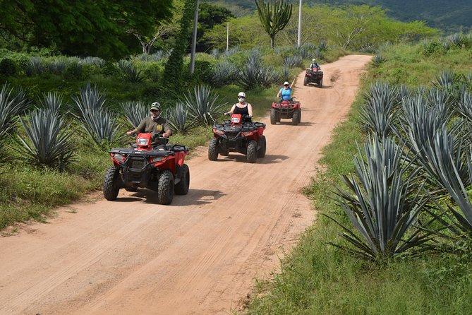 COMBO Zip Lines and ATVS at Hacienda Los Osuna - Included Experiences