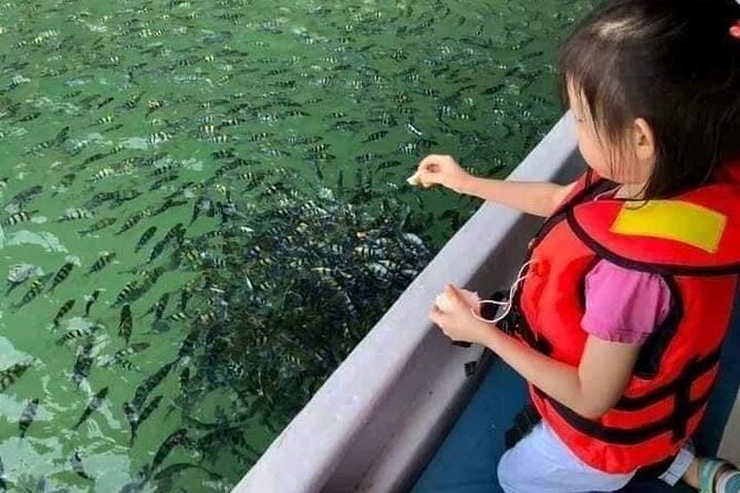 Combo:Langkawi Snorkeling & Tg Rhu Mangrove Private Boat Tour - Tg Rhu Mangrove Boat Tour
