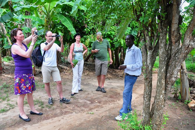 Come and Taste the Zanzibar Feelings - Tour Schedule and Booking