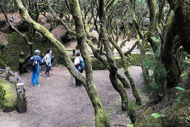 Come Discover the Island of El Hierro in a Small Group - Itinerary and Inclusions