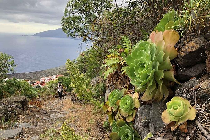 Come Discover the Island of El Hierro in a Small Group - Cancellation and Payment Policies