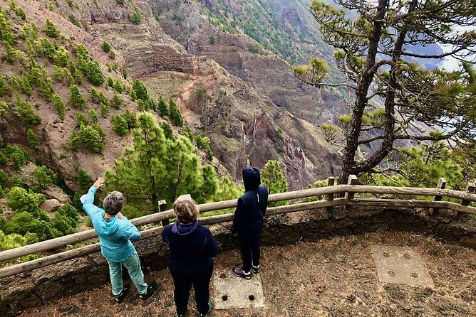 Come Discover the Island of El Hierro in a Small Group - About the Tour Operator