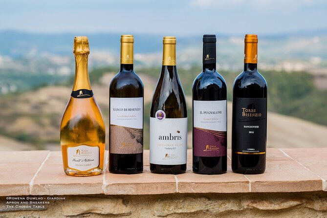 Come Try Our Torre Bisenzio Organic Wines, in the Luxury of Our New Tasting Room - Wines and Tastings