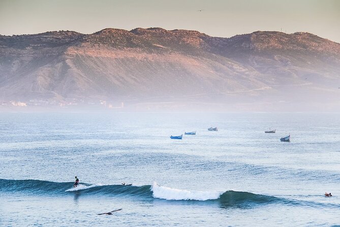 Comesurfing - Learn How to Surf - Customer Experiences and Reviews