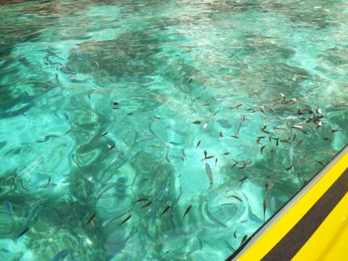 Comino: Blue Lagoon,Crystal Lagoon,Caves, Private Boat - Group Size