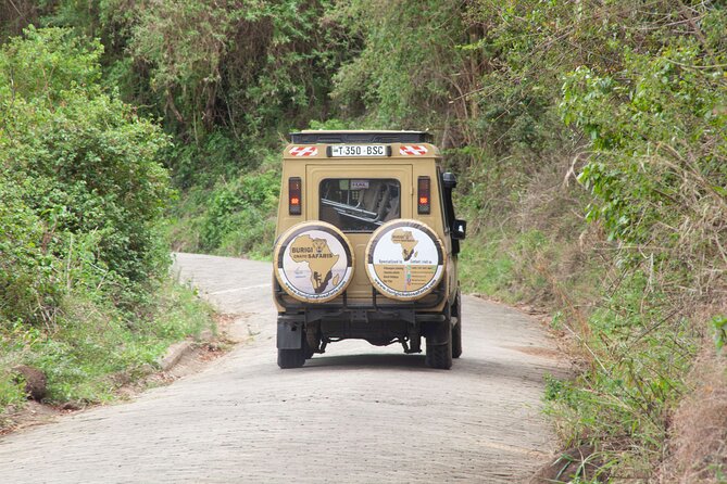 Common 5 Days Tanzania Serengeti Big 5 Private Safari | BURIGI CHATO SAFARIS - Booking and Cancellation