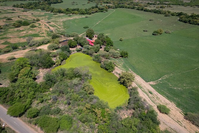 Community and Biodiversity Tour of the Tatacoa Desert From Neiva - Community Involvement and Impact