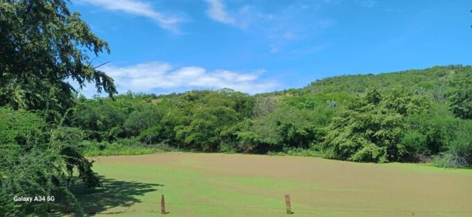 Community and Biodiversity Tour of the Tatacoa Neiva Desert - Astronomical Experience