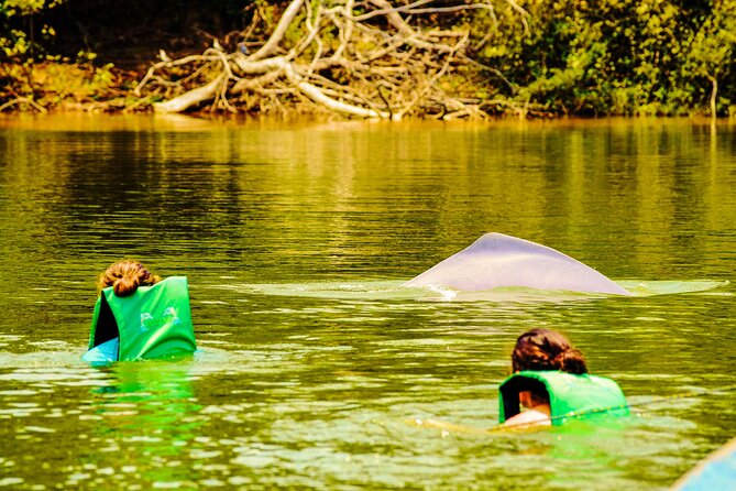 Community Tour 3 Days 2 Nights All Included in Guaviare - Itinerary and Activities