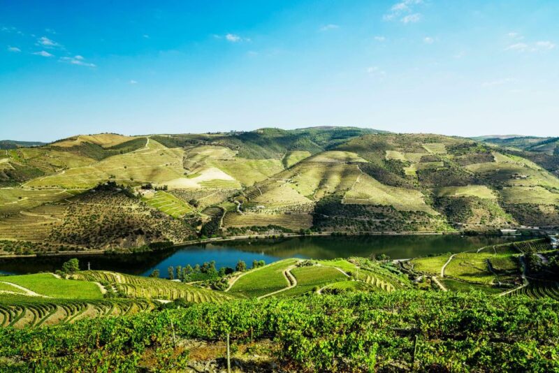 Complete Douro Valley Tour - Visit to 3 Wineries & Lunch - Inclusions and Itinerary
