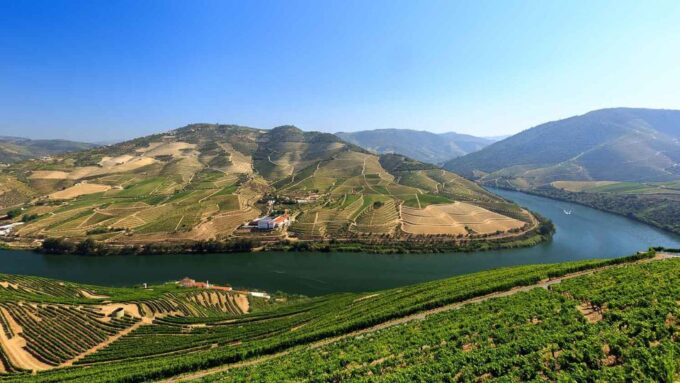 Complete Douro Valley Tour - Visit to 3 Wineries & Lunch - Customer Feedback