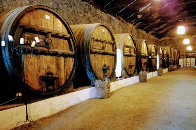 Complete Douro Valley Tour - Visit to 3 Wineries & Lunch - Frequently Asked Questions