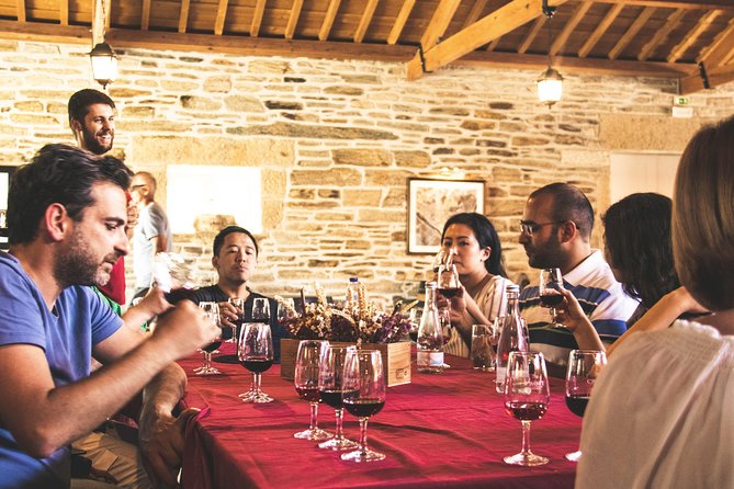 Complete Douro Valley Wine Tour With Lunch, Wine Tastings and River Cruise - Visiting the Wine Estates