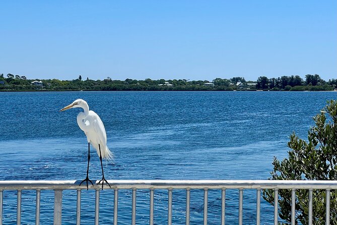 Complete Guided Golf Cart Tour of Tarpon Springs - Highlights of the Tour