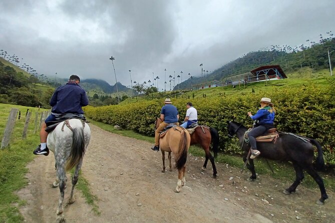 Complete Horseback Riding in Valle Del Cocora - Highlights of the Experience