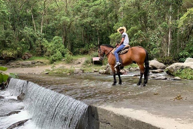 Complete Horseback Riding in Valle Del Cocora - What to Expect During the Ride