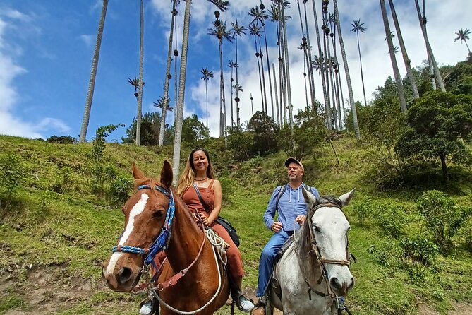 Complete Horseback Riding in Valle Del Cocora - Ratings and Reviews