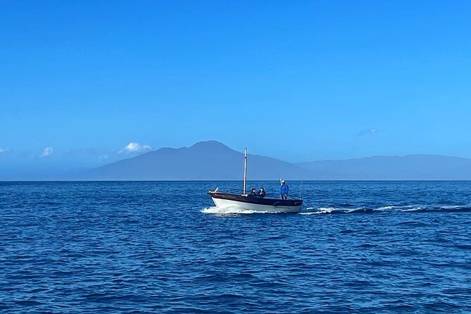 Complete Private Guided Two Hour Tour of the Coast of Capri - Customer Feedback