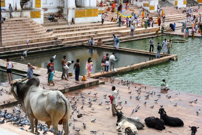 Complete Rajasthan Tour in 8 Days From Jaipur With Guide. - Exploring Udaipur