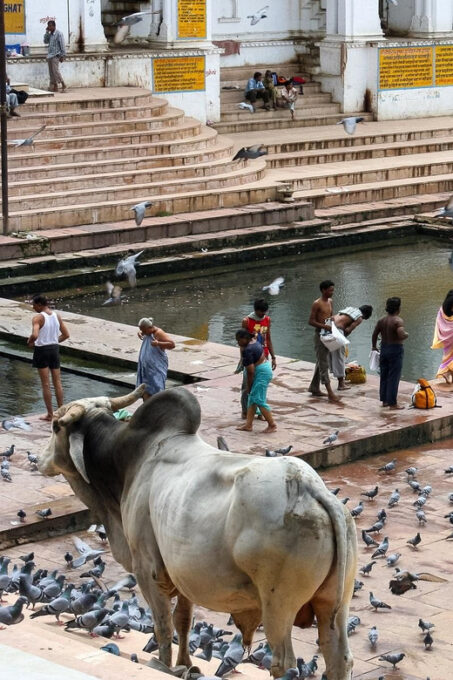 Complete Rajasthan Tour in 8 Days From Jaipur With Guide. - Discovering Jaisalmer