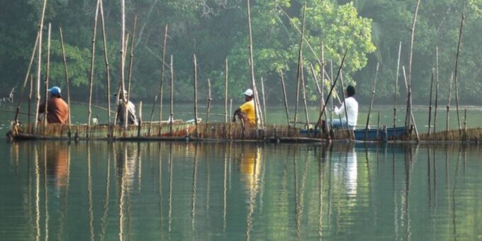 Complete River Fishing Adventure on Balapitiya River - Seafood Lunch and Free Beer