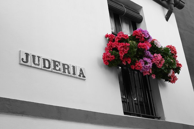 Complete Seville Tour + the Jewish Quarter and Views of Triana - Tour Details