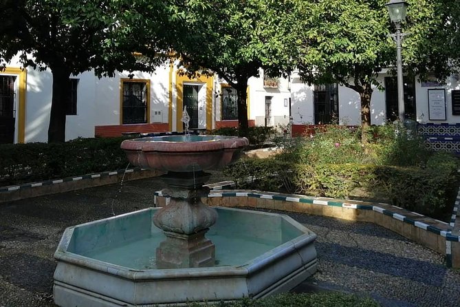 Complete Seville Tour + the Jewish Quarter and Views of Triana - Accessibility and Participation