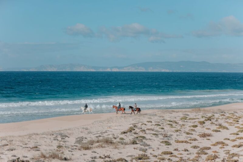 Comporta: Guided Horseback Riding Experience - Experience Highlights