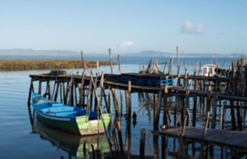Comporta to Arrábida Coast and Troia - Wildlife and Scenery