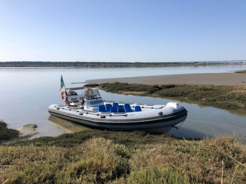 Comporta to Mourisca Tide Mill Boat Tour - Tour Highlights