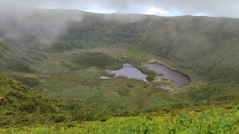 Comprehensive Land and Sea Tour From Pico to Faial Island - Itinerary Highlights