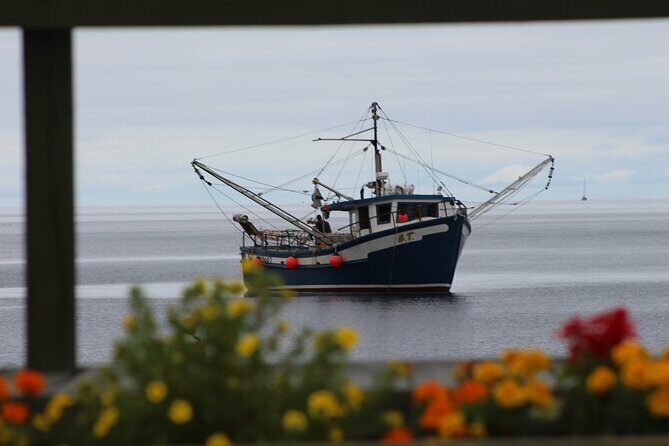 Conception Bay Tour Experience - Why the Guides Make a Difference
