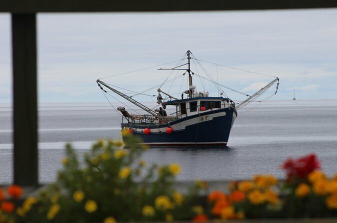 Conception Bay Tour Experience - Who is This Tour Best Suited For?