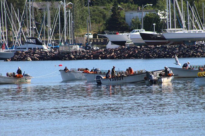 Conception Bay Tour Experience - FAQ