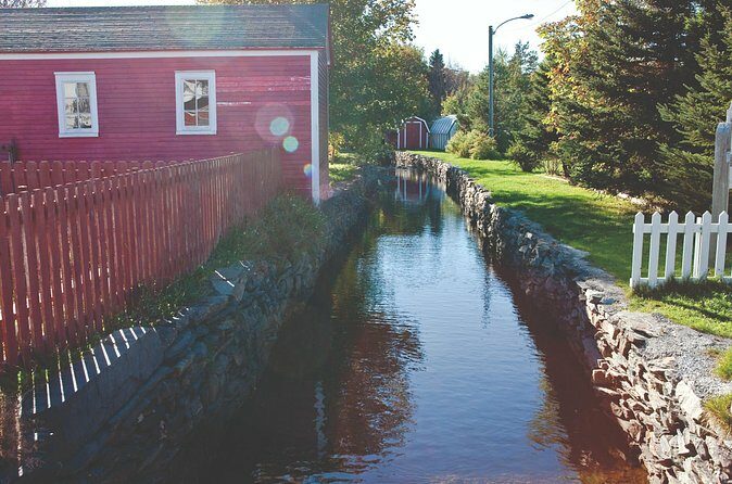 Conception Bay Tour Experience - Final Thoughts