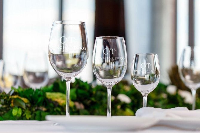 Concha Y Toro Vineyard - Tour Duration and Inclusions