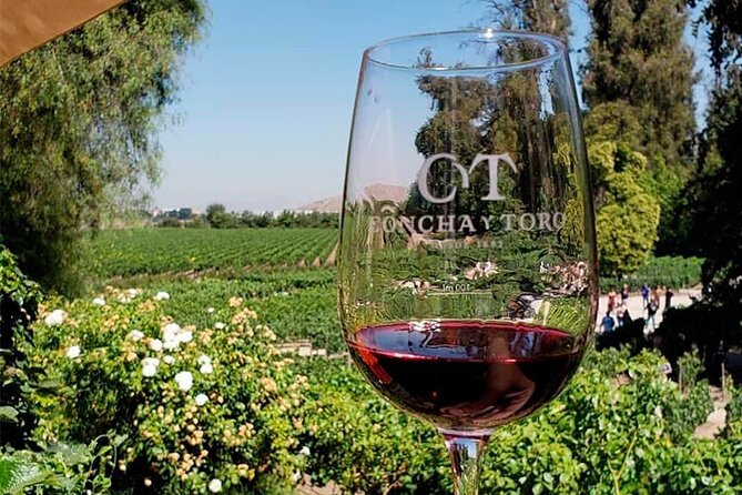 Concha Y Toro Vineyard Tour From Santiago - Accessibility and Pickup Information