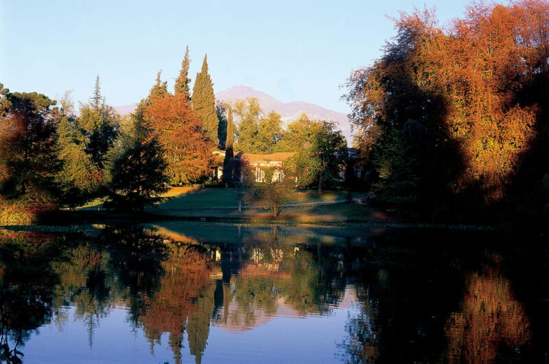 Concha Y Toro Wine Experience - Itinerary and Activities