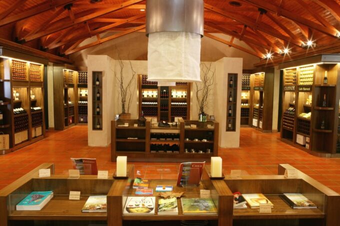 Concha Y Toro Wine Experience - Standard Vs. Wine & Cheese Tasting