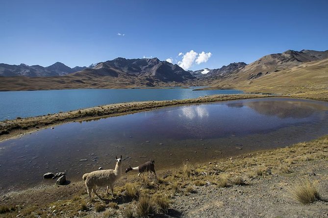CONDORIRI Mountain Range and Lagoons Full Day Trekking. Spanish Guide. - Key Points