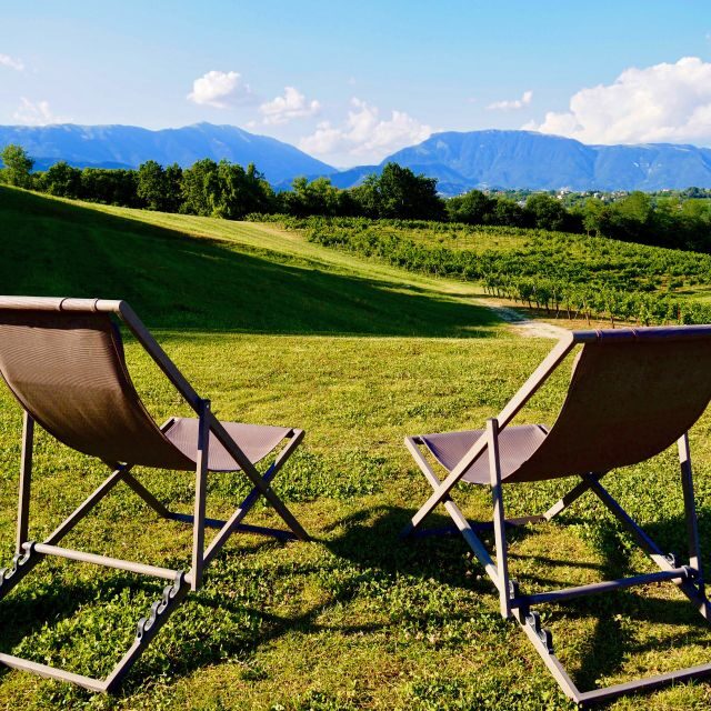 Conegliano: Prosecco Hills and Vineyards Tour - Scenic Views: The Beauty of the UNESCO Landscape